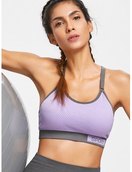 Checked Textured Knit Graphic Sports Bra - Purple M